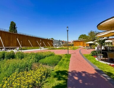 Miniatura: Seniorzy korzystają z tej atrakcji na...