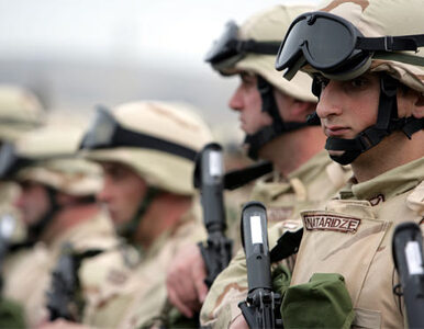 Miniatura: Marines i żołnierze wojsk specjalnych USA...