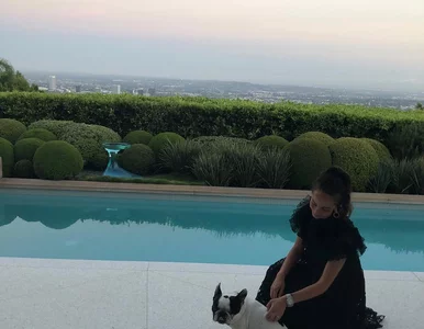 Miniatura: Pieskie życie? One nie wiedzą, co to jest!...