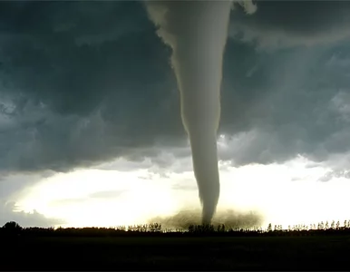 Miniatura: Tornada i burze pustoszą południowe stany USA