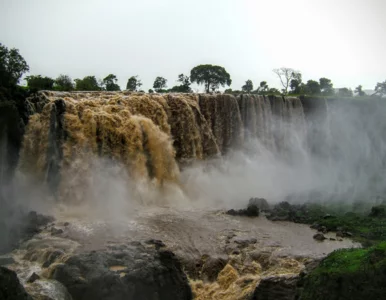 Miniatura: Tajemnica Nilu odkryta. Rzeka jest starsza...