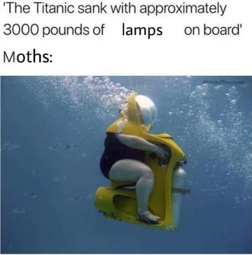 Mem z ćmą 