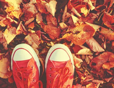 Miniatura: Jesienny wyskok po przygodę