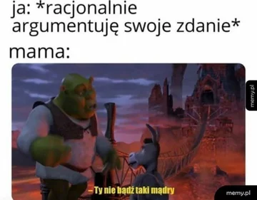 Mem z okazji Dnia Matki 