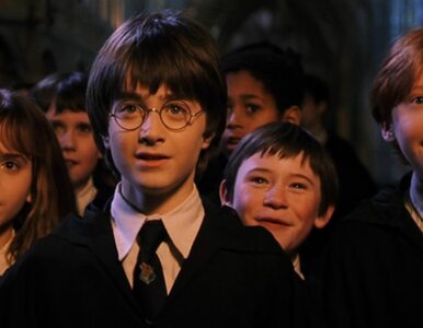 Miniatura: Coś dla fanów „Harry'ego Pottera”. Jeden z...