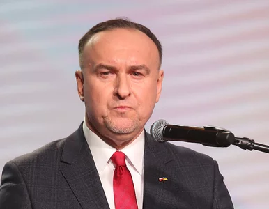 Miniatura: Grupa wywrotowców w partii rządzącej?...