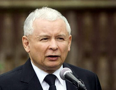 Miniatura: Kaczyński donosi na szefa Prokuratury...