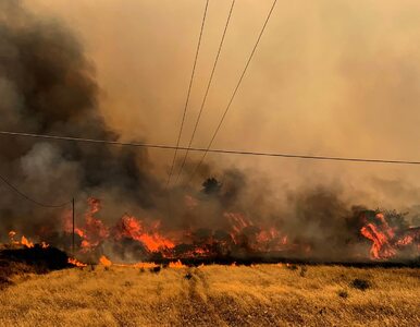 Miniatura: Pożary szaleją na greckich wyspach. Nowy...