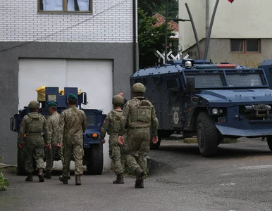 Miniatura: Polscy antyterroryści zatrzymani w...