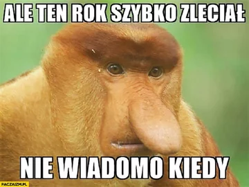 Memy na koniec roku szkolnego 