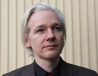 Miniatura: WikiLeaks oskarża o... wyciek dokumentów