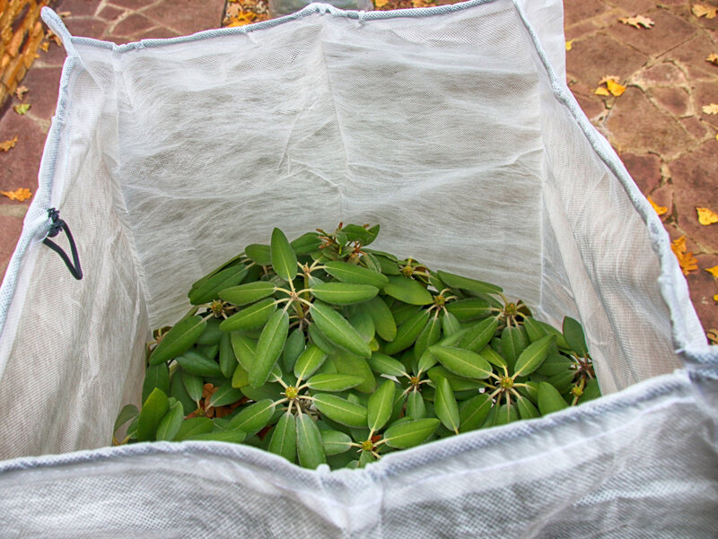 Gotowe zabezpieczenie z agrowłókniny. Dzięki sznureczkom, można łatwo regulować stopień osłonięcia rośliny i dopływ powietrza