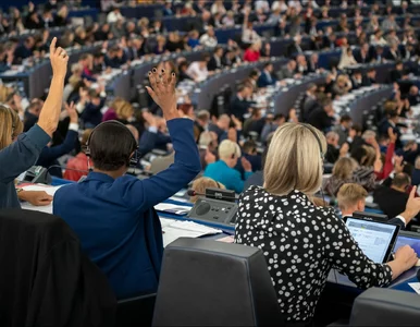 Miniatura: Ostatni sondaż przed wyborami do PE....