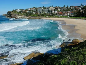 Miniatura: 4 ataki rekinów w ciągu 48 godzin....