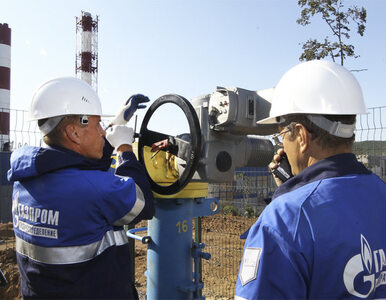 Miniatura: RWE dostarczy gaz na Ukrainę, jeśli...