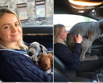 Właściciele pokazują jak urosły ich zwierzęta 