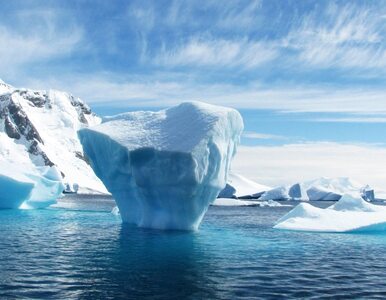 Miniatura: Grenlandia straciła 11 miliardów ton lodu....