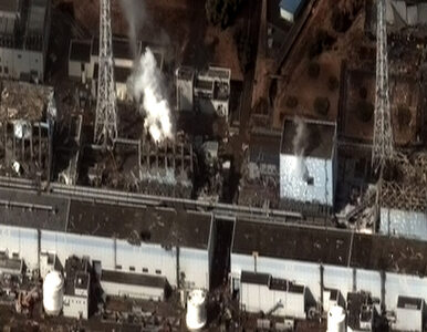 Miniatura: Katastrofa w Fukushimie. 16 nowych...