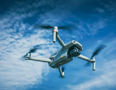 Miniatura: Coś się w Polsce kroi. „Coś się produkuje”...