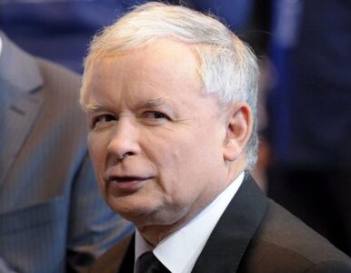 Miniatura: Poseł PO: Kaczyński używa języka...