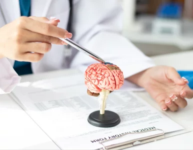 Miniatura: Przełomowe odkrycie naukowców. Tak mogą...