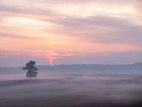 Miniatura: To miejsce warto odwiedzić zimą. „Spokojna...