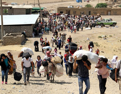 Miniatura: "Syria to haniebna katastrofa humanitarna"