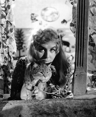 Miniatura: Kalina Jędrusik na przestrzeni lat. Ikona...