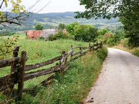 Miniatura: Urzędnicy będą wchodzić do domów i...