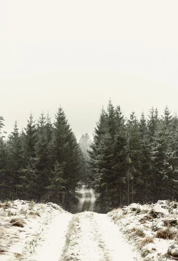 Sielski dom z widokami, projekt Norm Architects Norm Architects, dom na wsi, okna, drewno