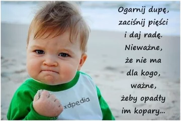 Memy z „success kid” 
