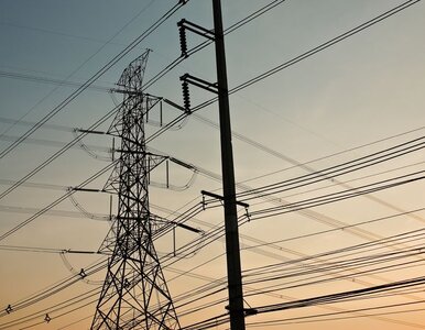 Miniatura: Indie stawiają na alternatywne źródła energii