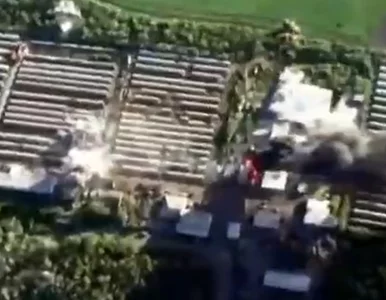 Miniatura: Polska ferma na Ukrainie zniszczona przez...