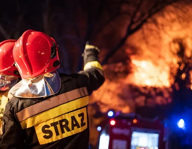 Miniatura: Tragedia w Idalinie. W pożarze zginął...