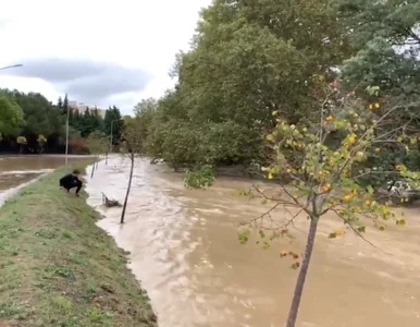 Miniatura: Francja zmaga się z powodzią. Co najmniej...