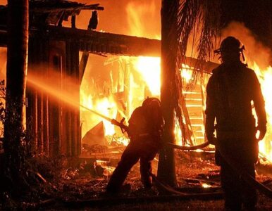 Miniatura: Pożar na Śląsku może potrwać nawet cztery dni