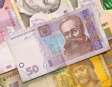 Miniatura: Валютні резерви України зросли