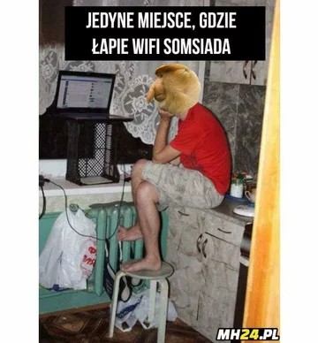 Mem z nosaczem sundajskim 