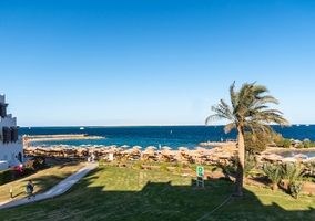 Miniatura: Wakacje w Egipcie po ataku Iranu na...