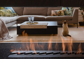 Miniatura: Te style są już niemodne. Jak dziś...