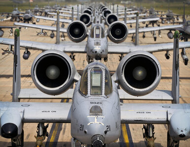 Miniatura: Amerykanie demonstrują siłę. "Marsz słoni"...