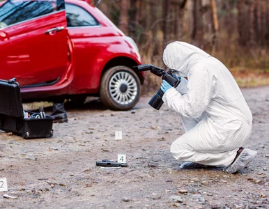 Miniatura: Śmierć, pokusa i dziewczyny z Warszawy....