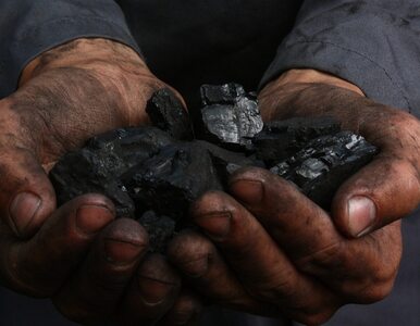 Miniatura: Unilever odejdzie od kopalnego węgla. To...