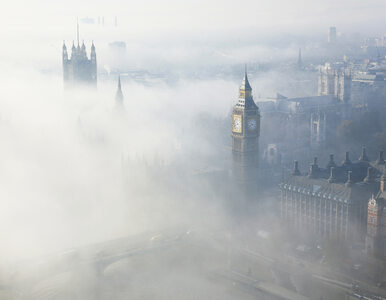 Miniatura: Mgła na niesamowitych zdjęciach