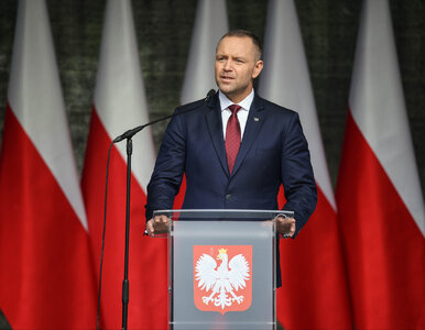 Miniatura: To znalazłoby się na karcie do głosowania....