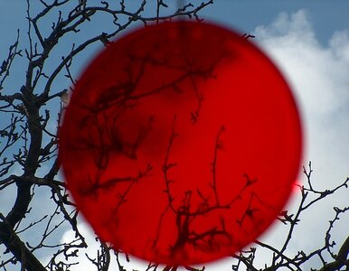 Miniatura: Córka Kennedy'ego ambasadorem w Japonii?