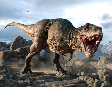 Miniatura: Czy T-Rex znał moonwalk? Naukowcy mają dowody