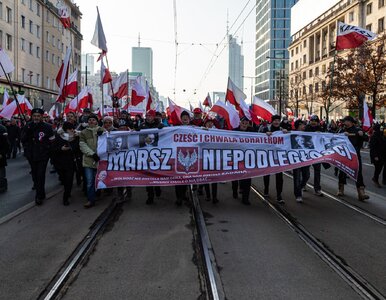 Miniatura: Kontrole na Marszu Niepodległości 2026....