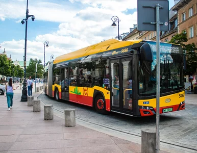 Miniatura: Autobusem, tramwajem i metrem za darmo....