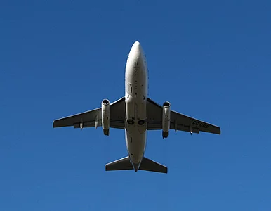 Miniatura: Zostawili szefową parlamentu na płycie i...